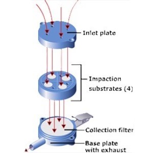 13 - PPI Desechable